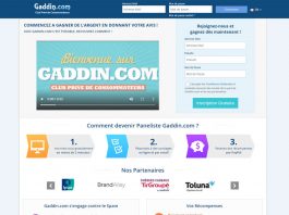 Gaddin avis : fonctionnement du site et fiabilité
